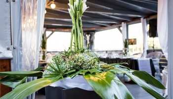 Elegáns dekorációk