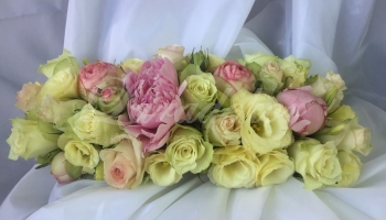 Elegáns dekorációk