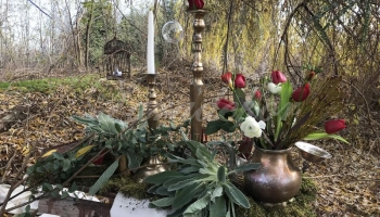 Fotófal és dekoráció