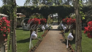 Kültéri ceremónia