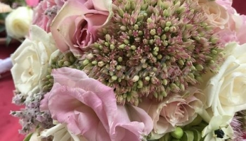 Menyasszonyi virágok