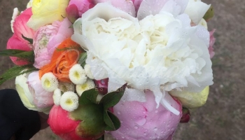 Menyasszonyi virágok